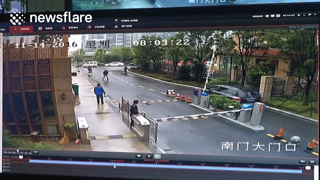 Chinese special forces shoot loose wild boar dead