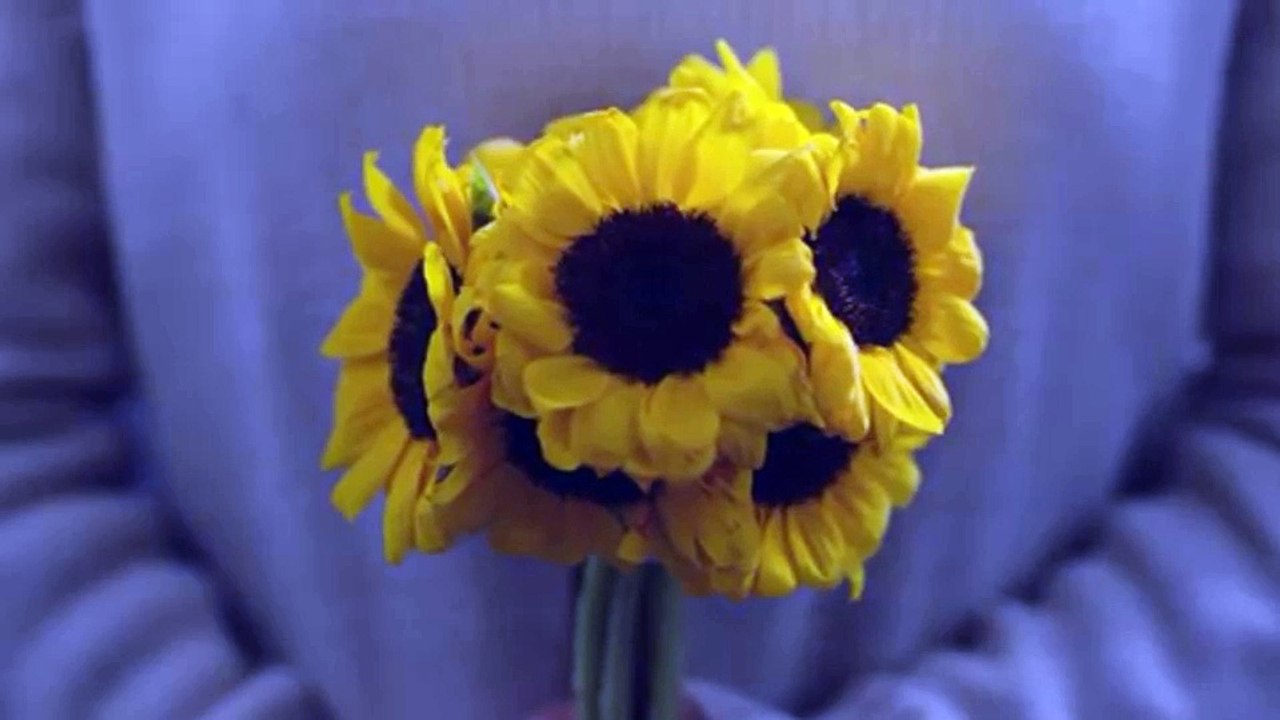 【日本語字幕】 꽃길 - 세정