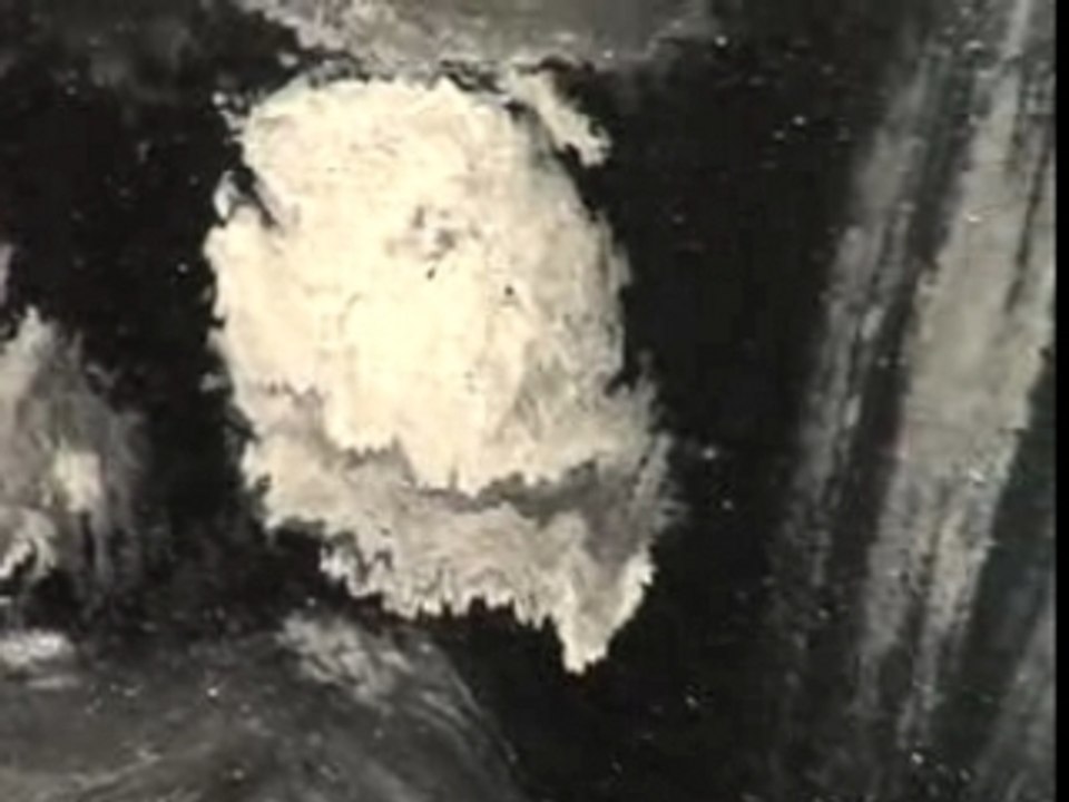 expression paint of CAFTFISH