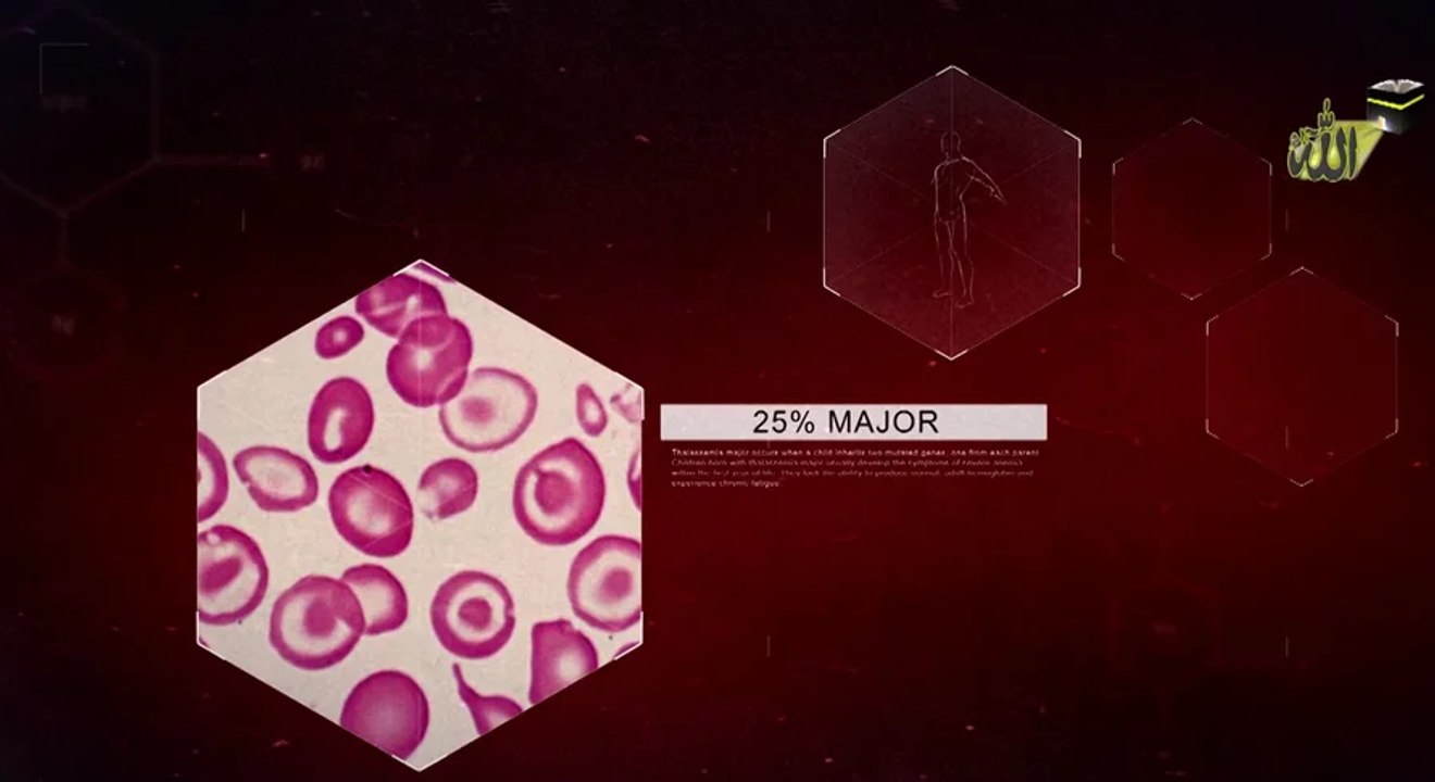 What is Thalassemia - Arrahman Arraheem Network