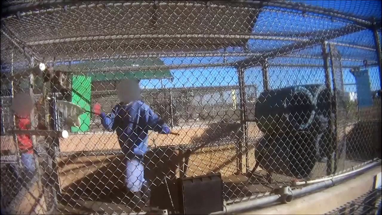 Shin Nippon Biomedical Laboratories