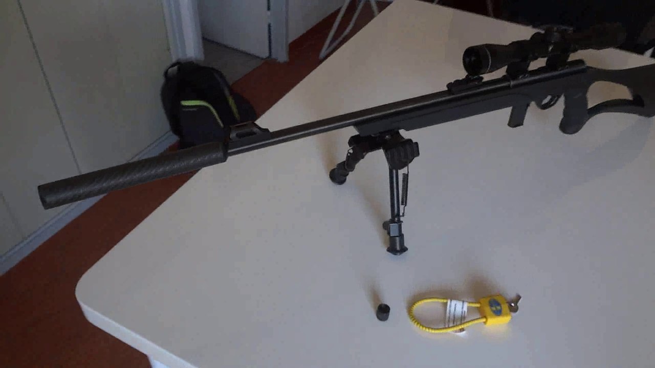 carabine 22lr Mossberg 802 Plinkster