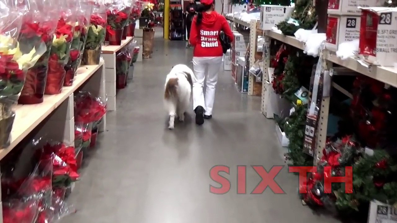 Learn ORDINAL NUMBERS (First - Tenth) CHAMP MEETS SANTA