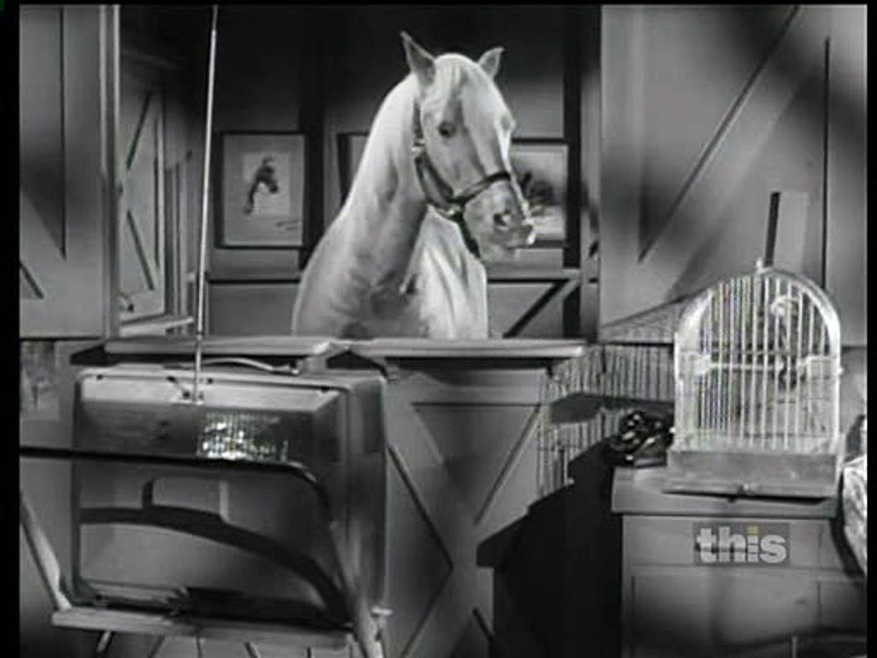 Mister Ed S06 142 Cherokee Ed