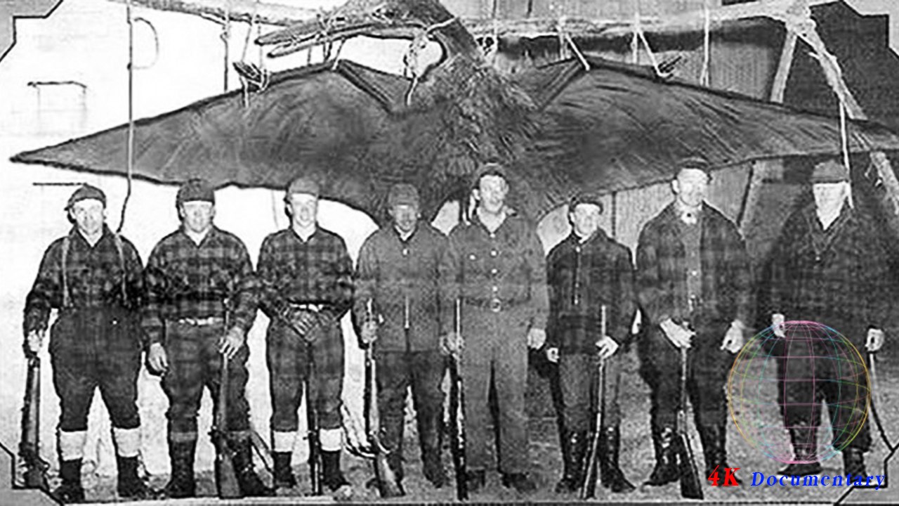 Full Documentary - สารคดี ความลึกลับของสัตว์สูญพันธุ์ - Documentary 2016