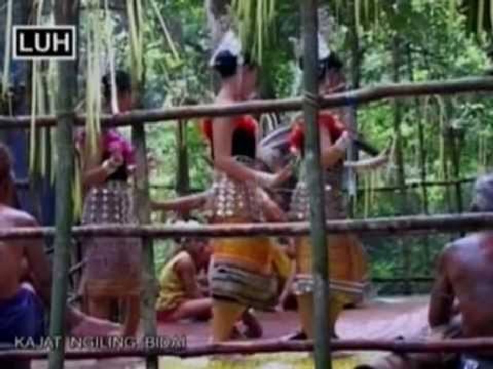 Kajat Ngiling Bidai - Katibas Group