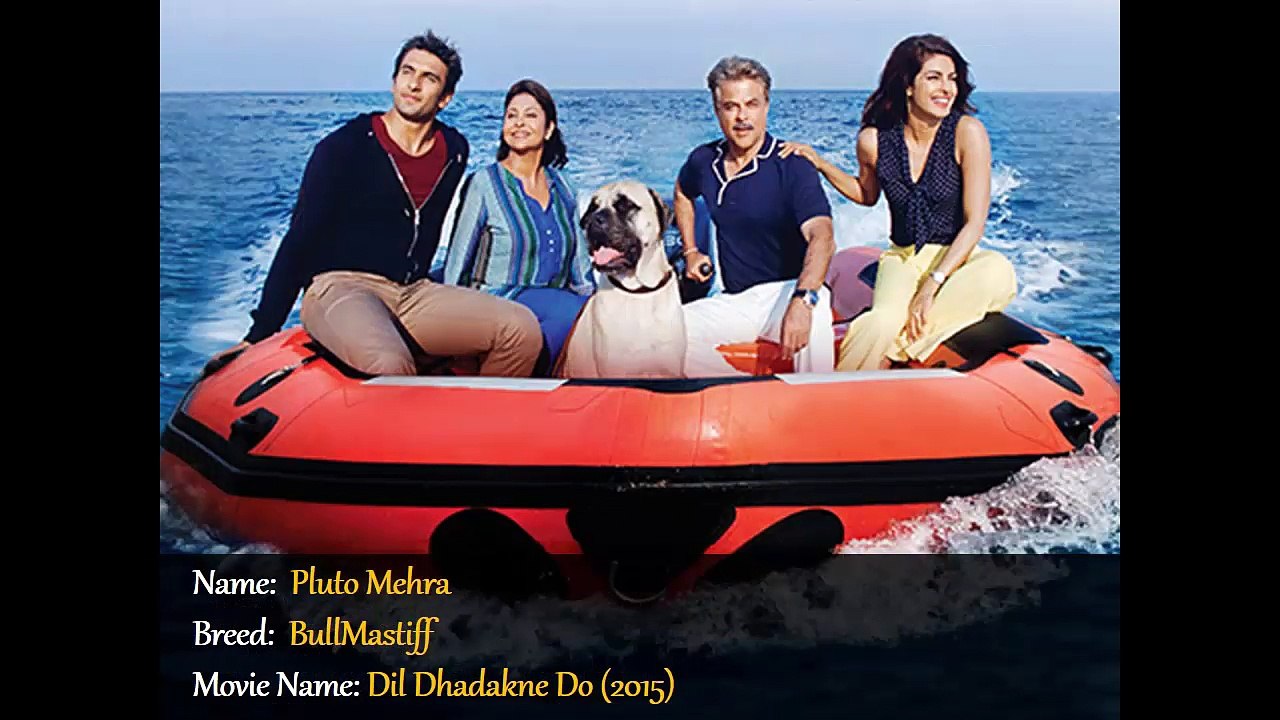 Top Iconic Dogs in Bollywood Films 🐶