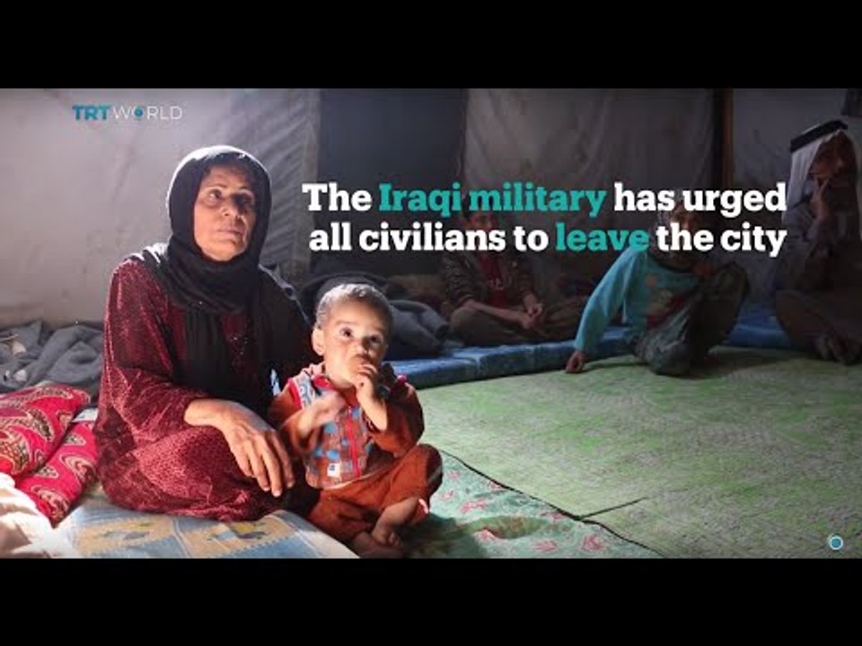 Humanitarian situation in Fallujah