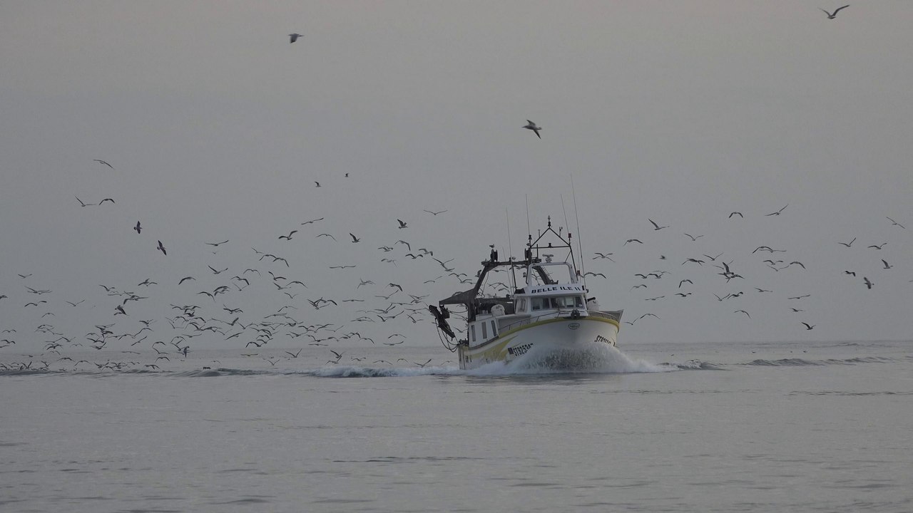 Spectaculaire Vidéo 4K de la Tamarissière : Retour des Chalutiers sur le Fleuve Hérault 🚤