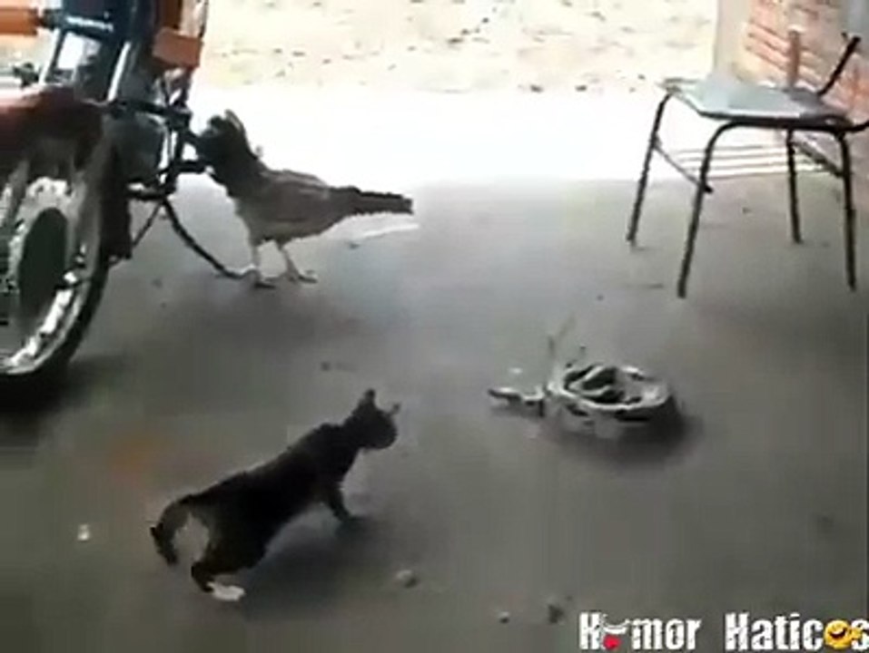 Top Funny Scenes to Make You Laugh 😂