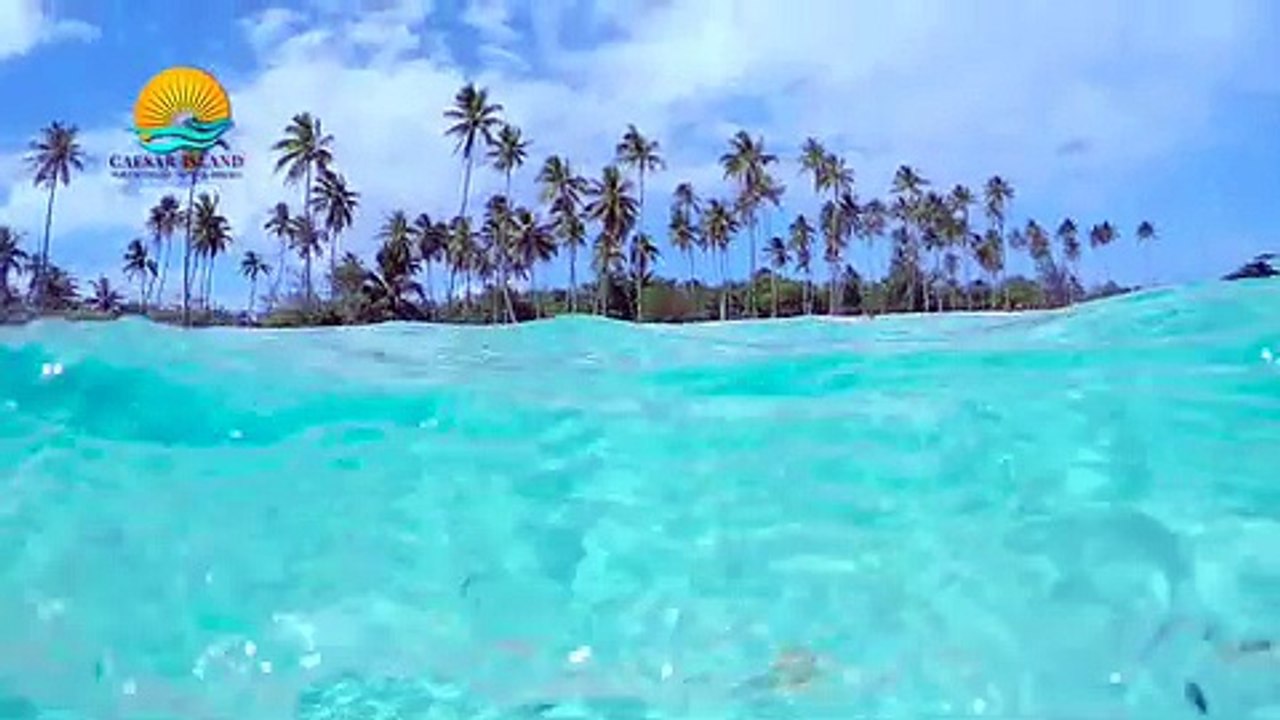 Caesar 30sec: جذب السياح الأجانب والعائلات الفاخرة 🌍