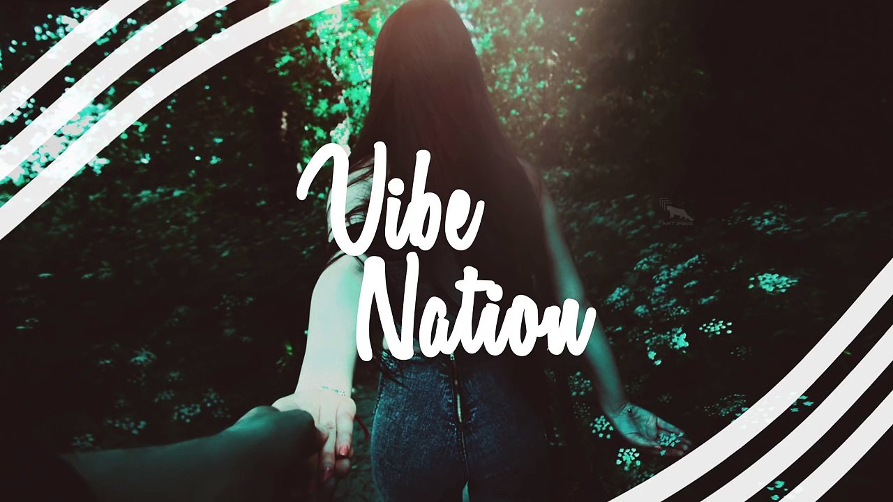 Alan Walker - Walkers Dream