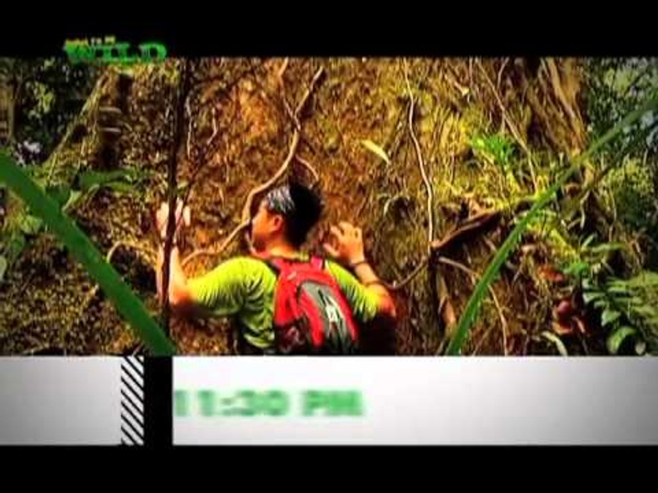 GMA News and Public Affairs Holy Week Presentation