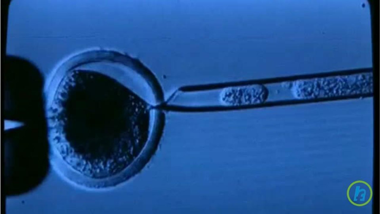 Understanding In Vitro Fertilization