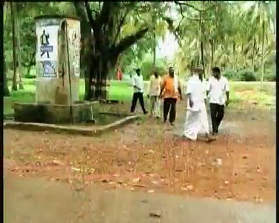 Animals vs. Humans: Discover the Key Differences 🧬