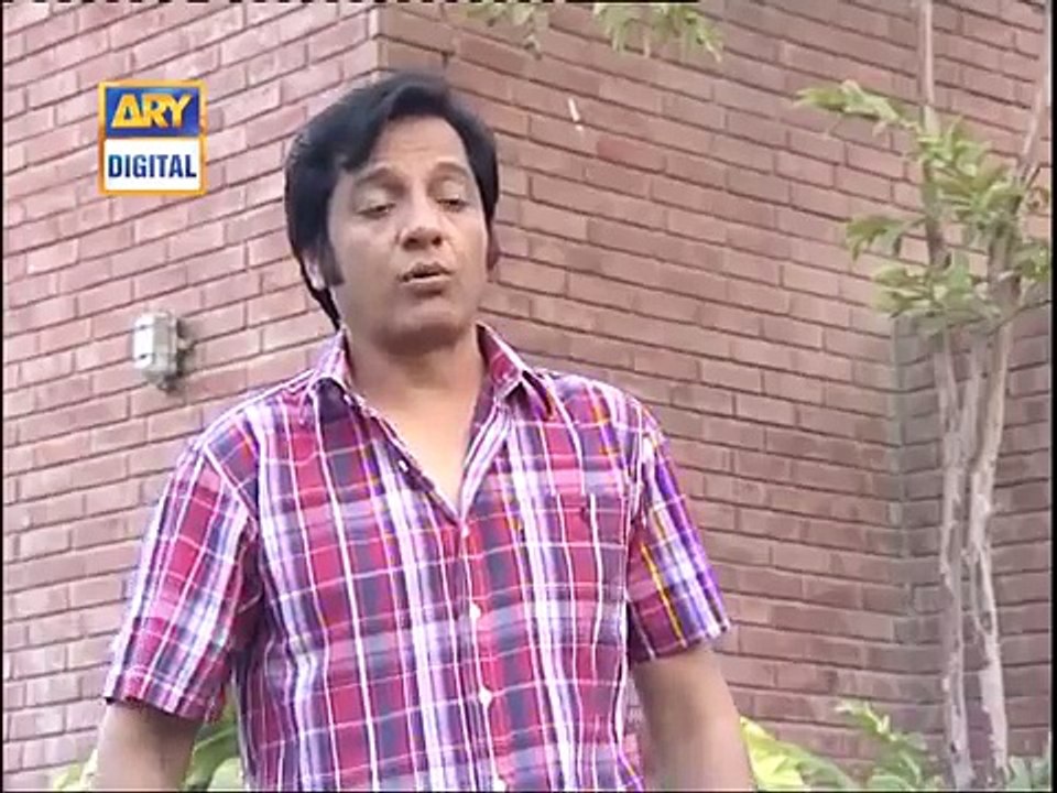 Bulbulay Ep 91 - ARY Digital Drama