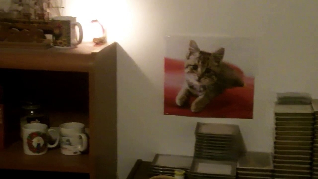 Event on December 12, 2016