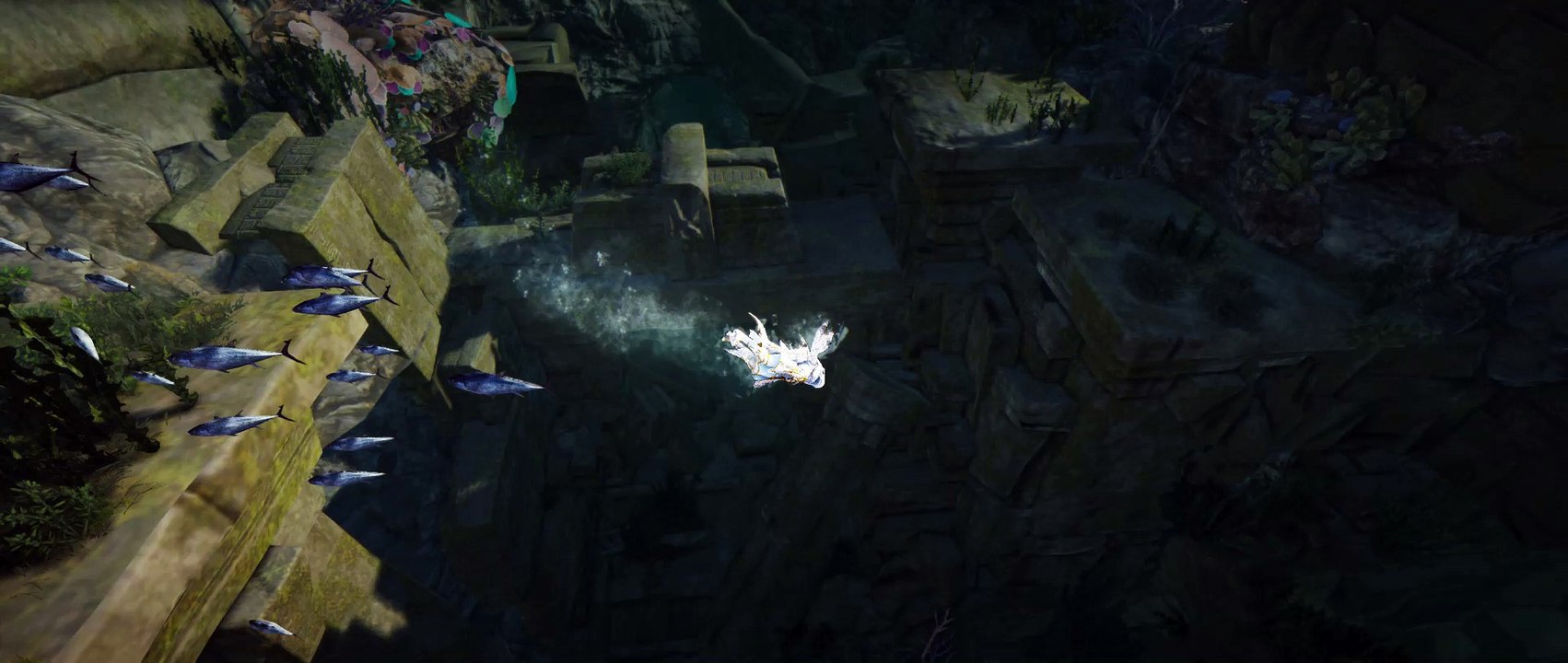 Shark Suit Swimming in Black Desert