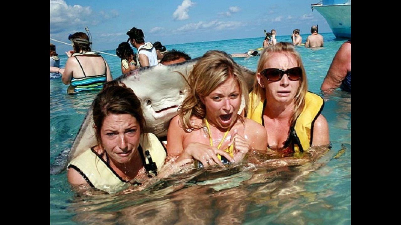 World Most Worst Images of Tourists