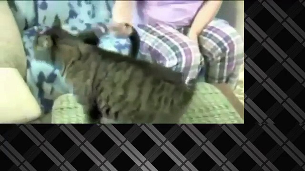 Угар полный | ЛУЧШИЕ ПРИКОЛЫ Ютуб