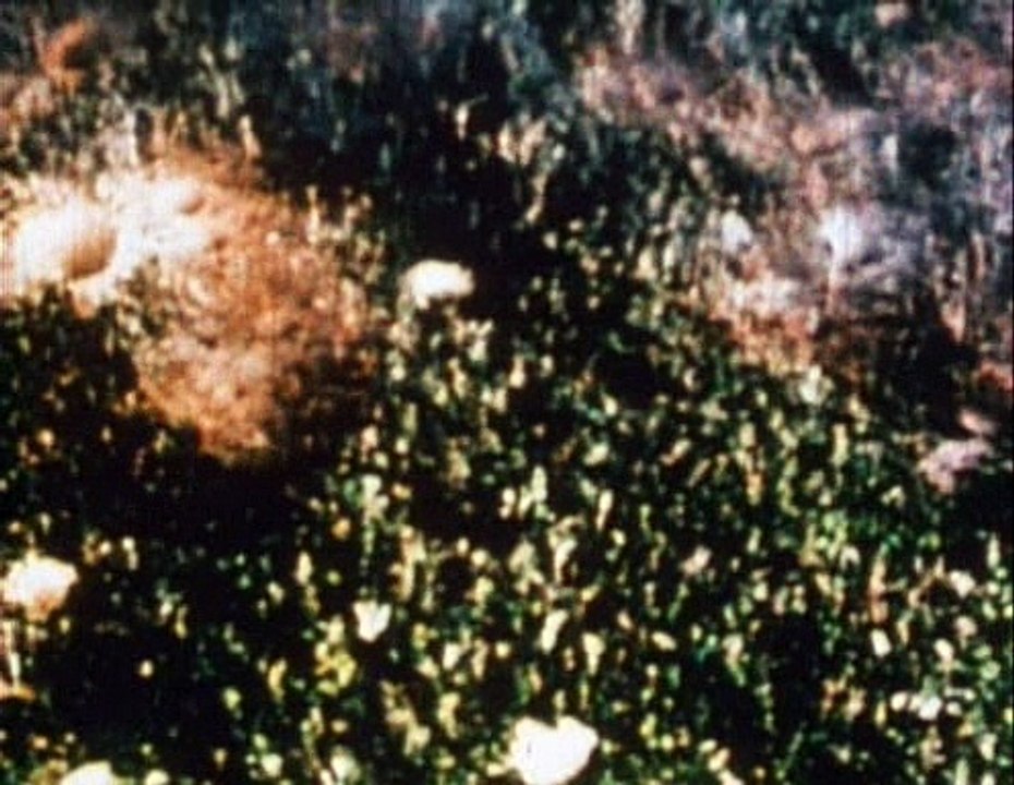 Carl Sagan: Environmental Warning