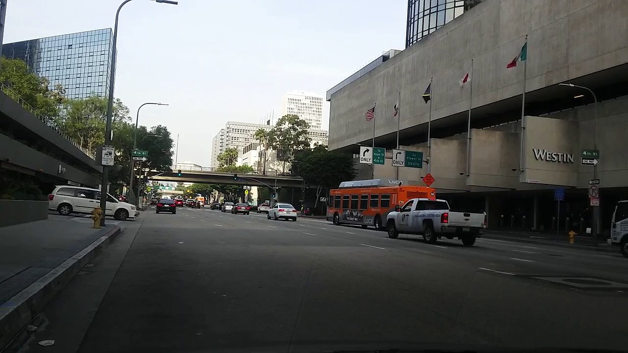 What is the difference between me and trash? Joke explained!