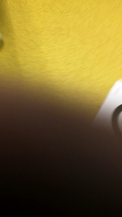 Robot edison V2. Atelier codage et robotique