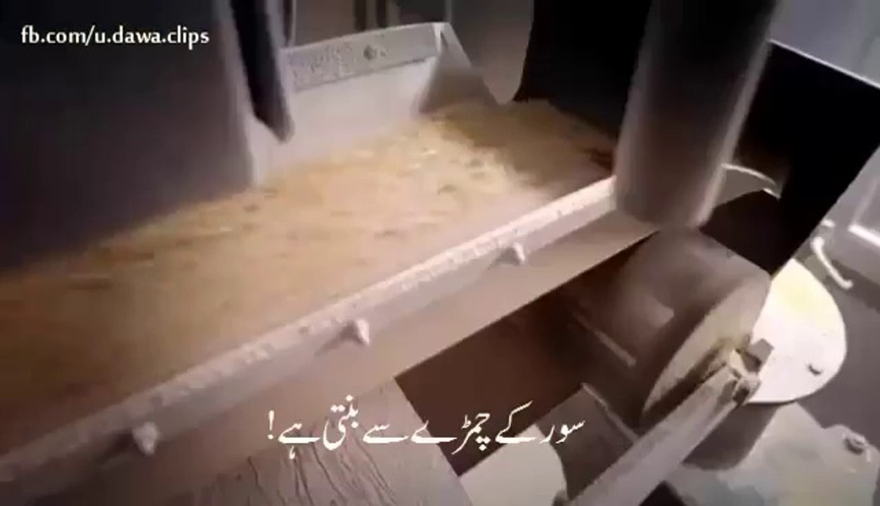 dekho hostale main kya hota hai