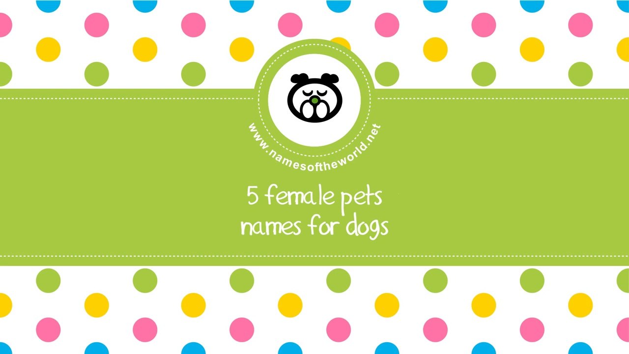 Female pet names for dogs - www.namesoftheworld.net