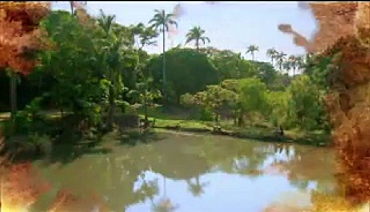 87 ES MÁ Capítulo 87