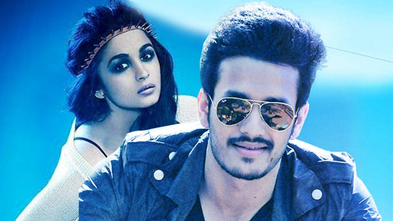Akhil Akkineni To Romance Bollywood Beauty Alia Bhatt?