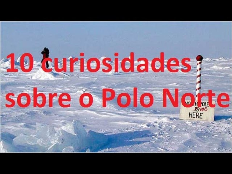 #Curiosidades: 10 curiosidades sobre o Polo Norte *_* #8