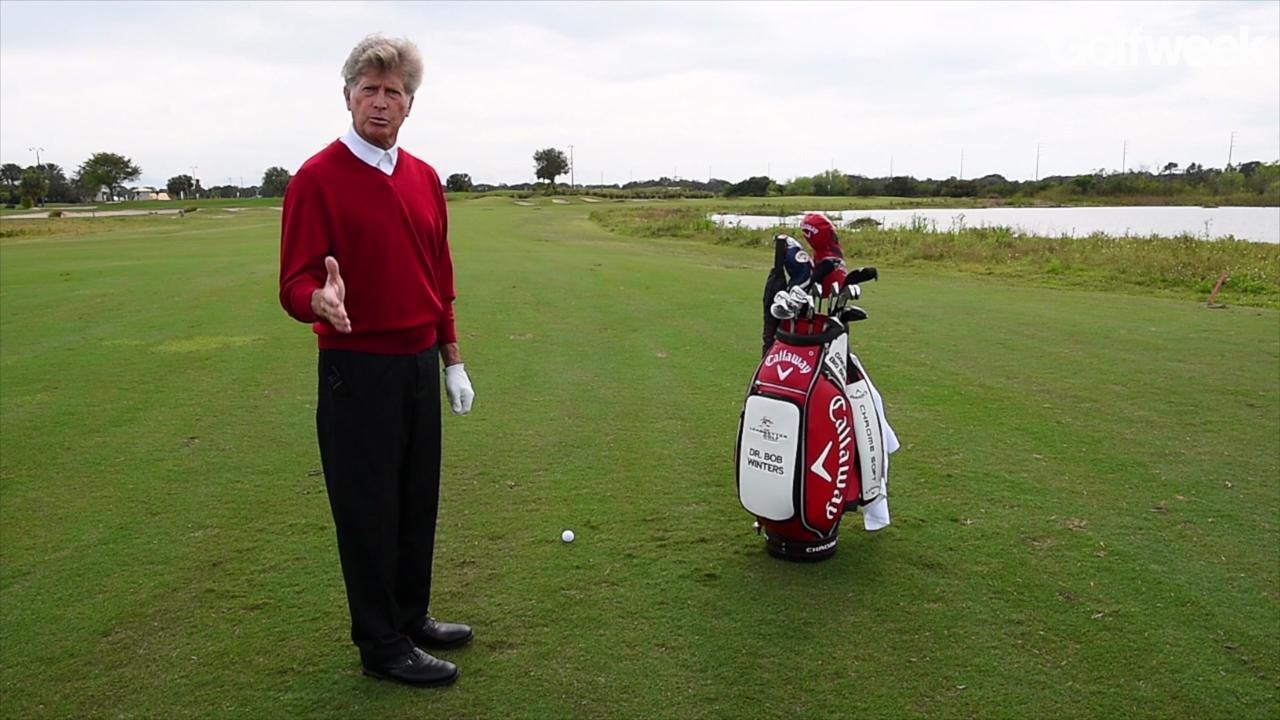 Cost vs. reward decision making