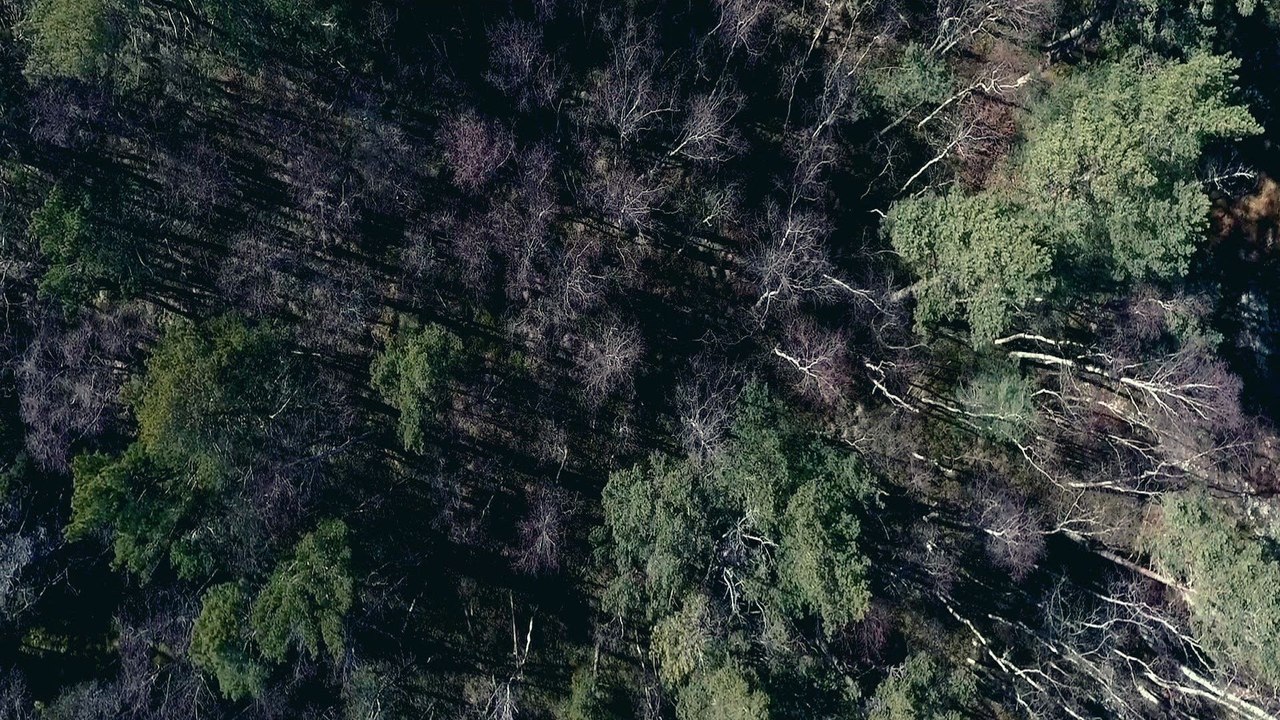 Daniel Adams-Ray - Isabel