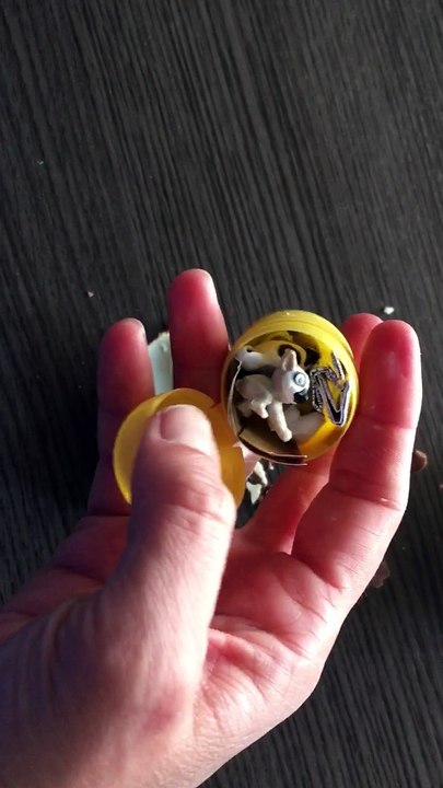 ¿Qué hay dentro de este Kinder? 🥚
