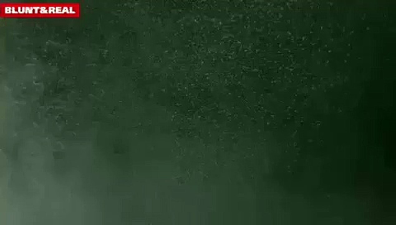 Blunt & Real: Honest Perspectives