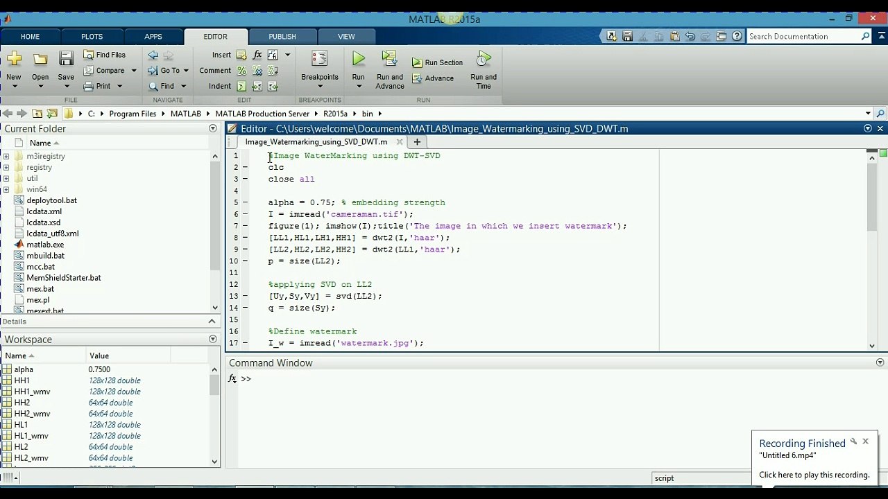 Image watermarking using discrete wavelet transform and singular value decomposition