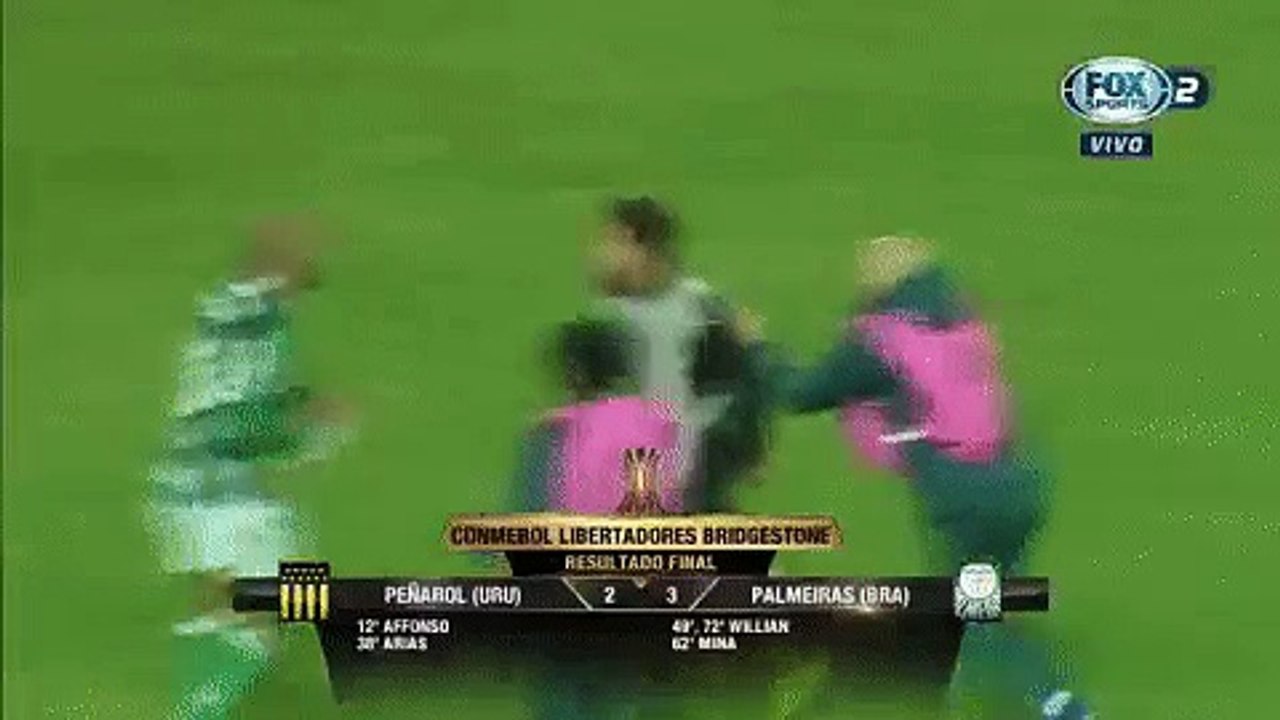 Penarol vs Palmeiras