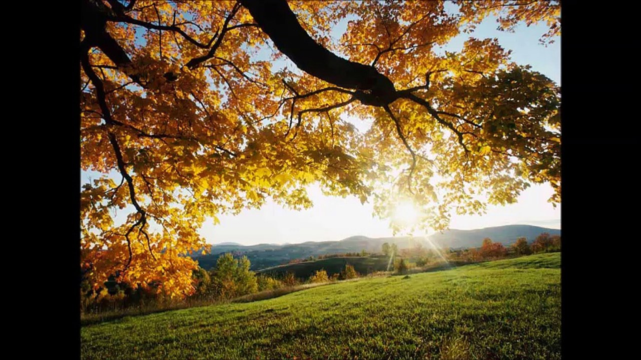 cheba Aljia (Allah moulena) , الشابة علجية (الله مولانا)
