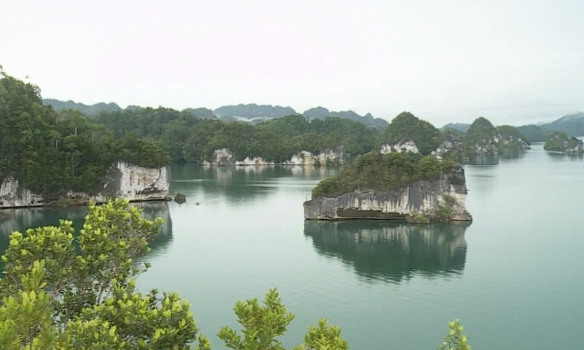 Pesona Keindahan Surga di Raja Ampat