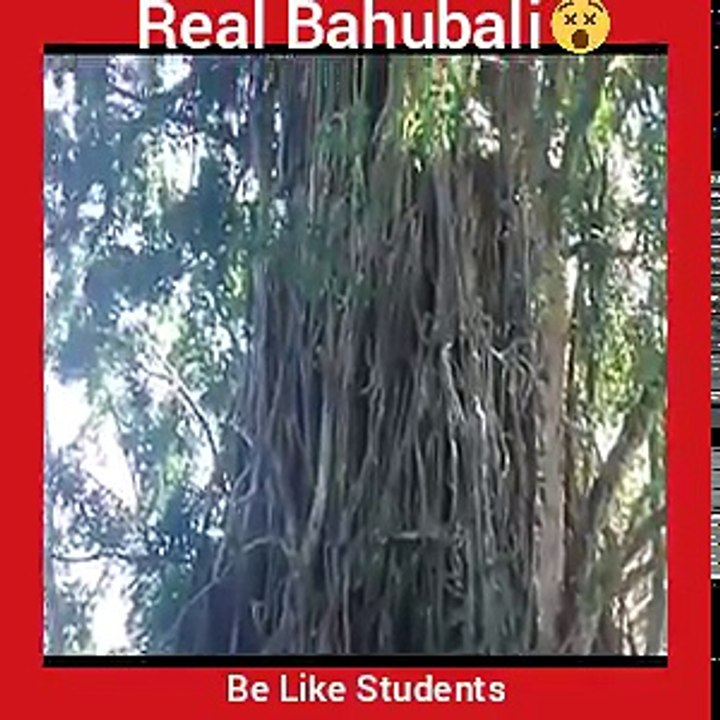 The True Story of Bahubali
