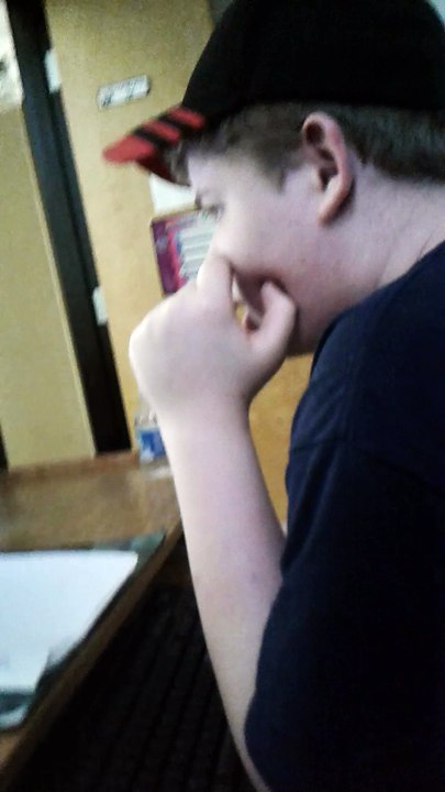 How to Identify Your Dog's Breed 🐶