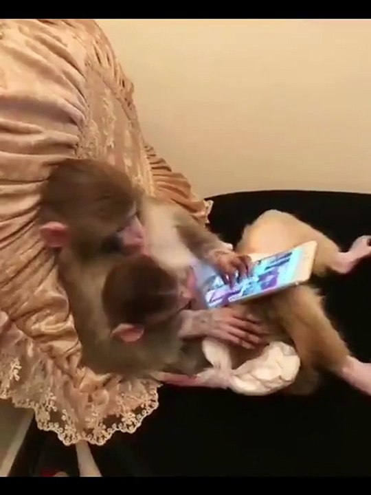 Monkey is genius Used Tablet