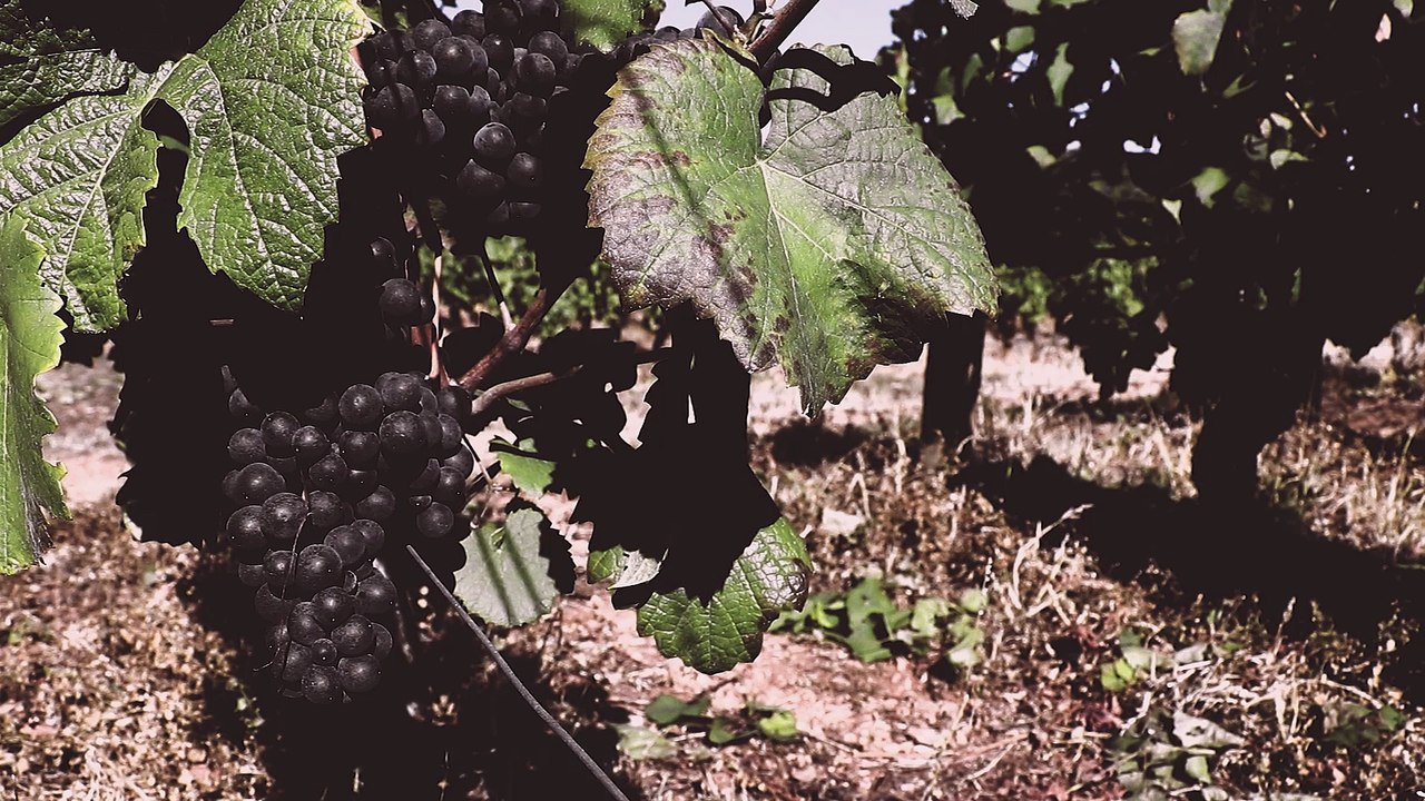 PlayOffs 2017 - Teaser