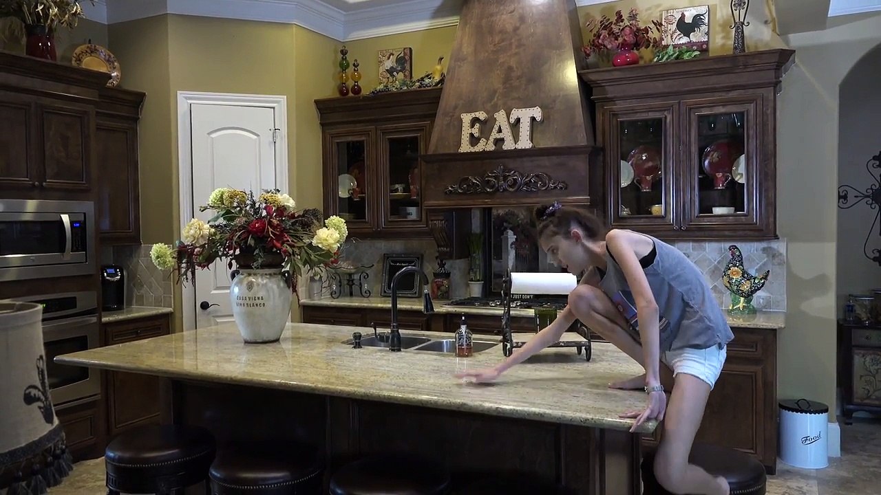 Spider Apocalypse! Wild Toy Spider Attacks Ethan and Cole! Nerf Vs Scary Insect Showdown!