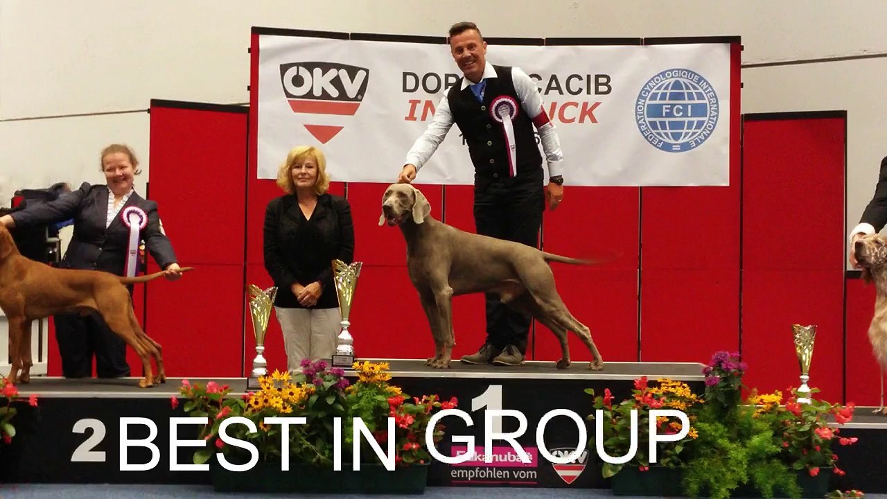 " H'ASICS " IDS INNSBRUCK 2016