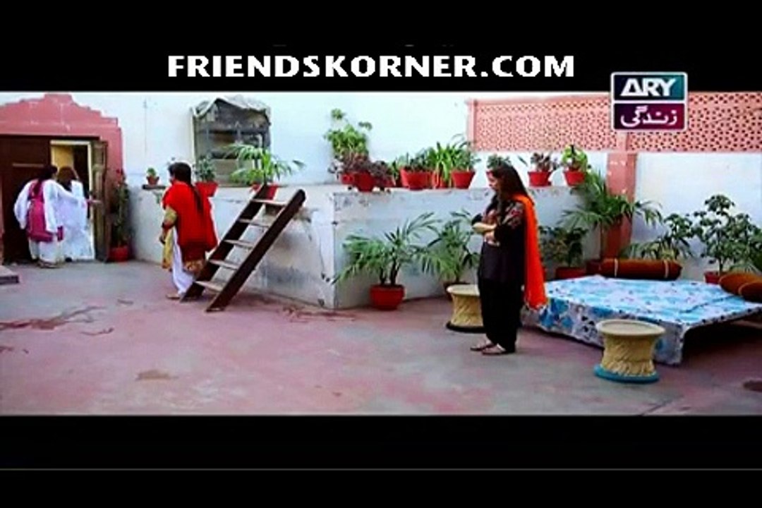 Haya Ke Rang Episode 95 - Unmissable Drama Moments 🎬