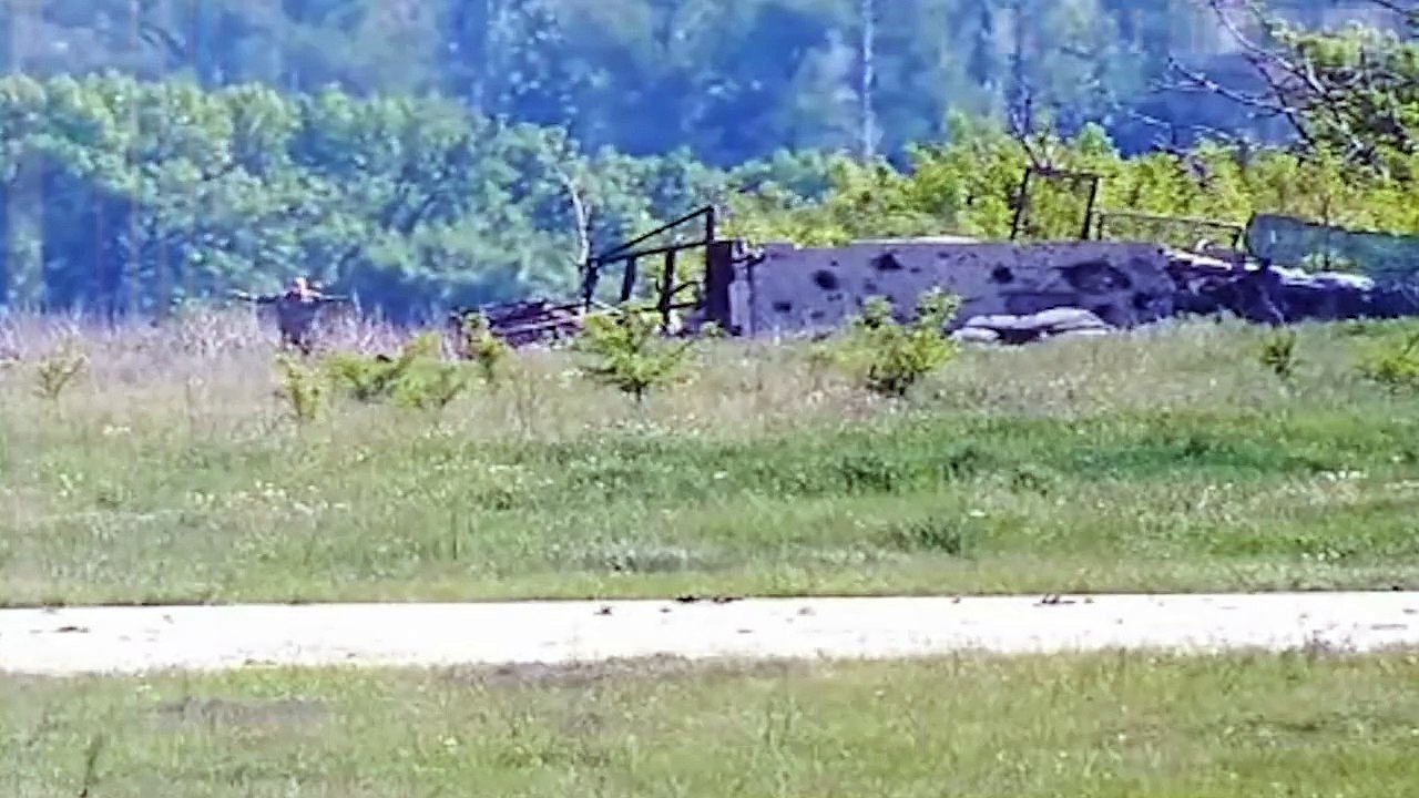 Пьяное шоу сепара