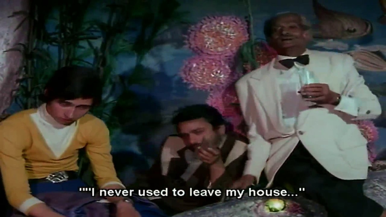 Main Ek Shareef Ladki