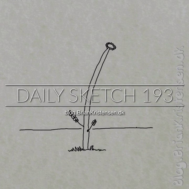 Flower lifecycle animation